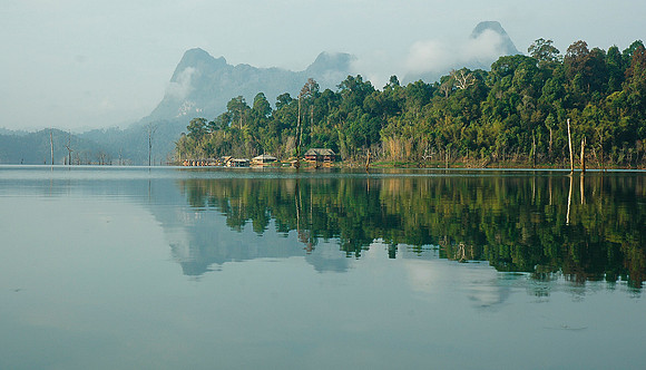 Khao Sok National Park, Thailand 6882