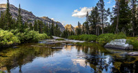 South Fork, Cascade Creek 3769