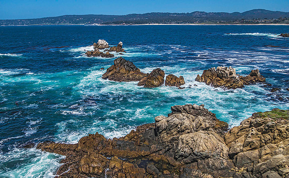 Point Lobos State Natural Reserve 00095