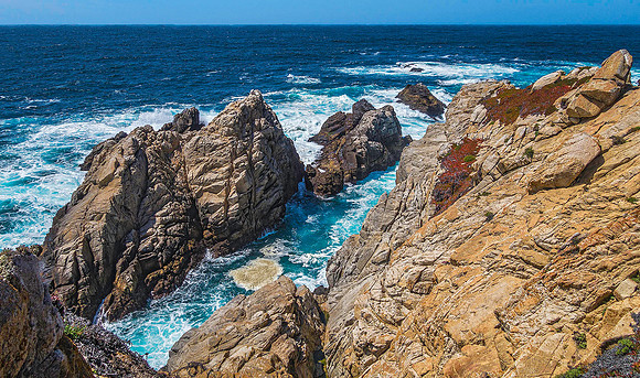 Point Lobos State Natural Reserve 00119