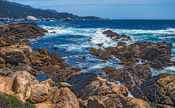 Point Lobos State Natural Reserve 00170