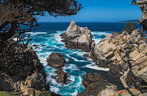 Point Lobos State Natural Reserve 00135