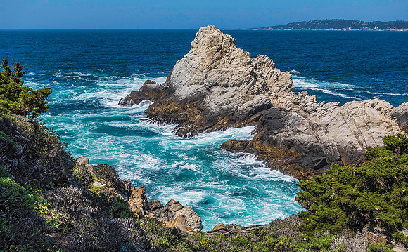 Point Lobos State Natural Reserve 00129