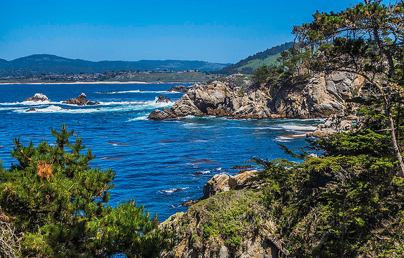Point Lobos State Natural Reserve 00098