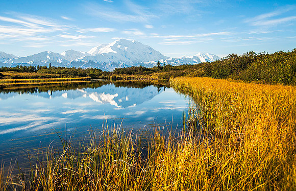 Denali over Reflection Pond, Denali National Park 6428