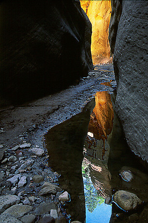 Orderville Canyon, Virgin River 002