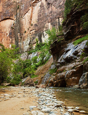 Zion Narrows, Virgin River 9143