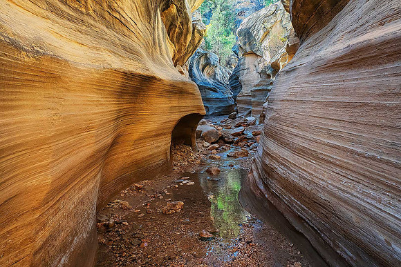 Willis Creek140129
