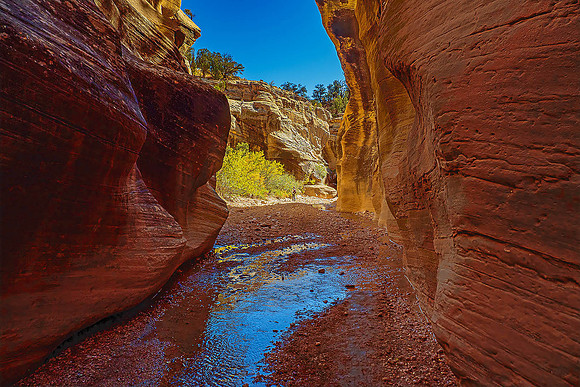 Willis Creek140135