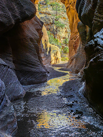 Willis Creek140150