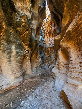 Willis Creek140153