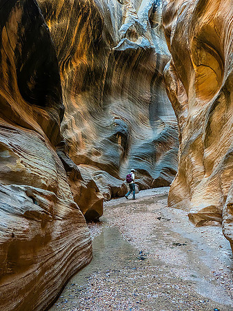 Willis Creek140155