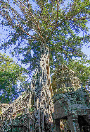 Angkor Thom06784