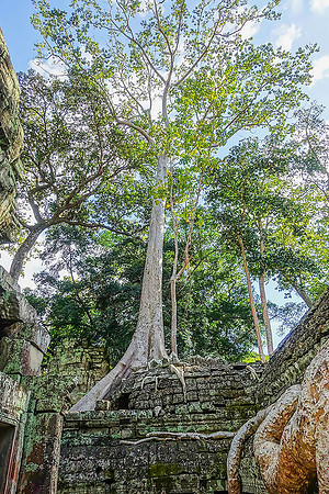 Angkor Thom06807