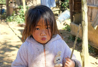 Village06397