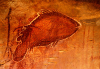 Indigenous Art6170037