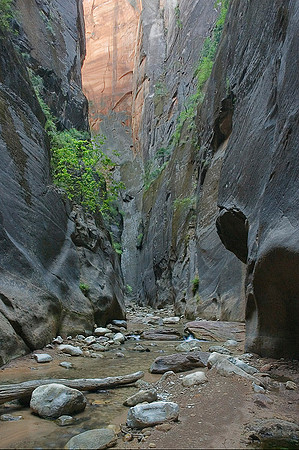 Orderville Canyon, Virgin River 9169