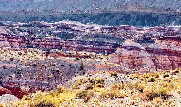 Bentonite Hills 03197