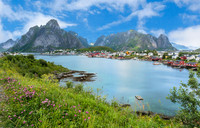 Reine 04298