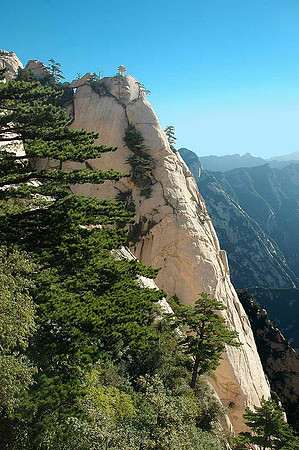 HuaShan 0355