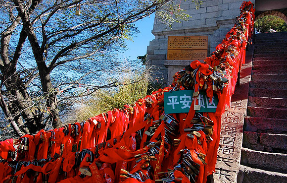 HuaShan 0263