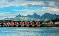 Reine 04236