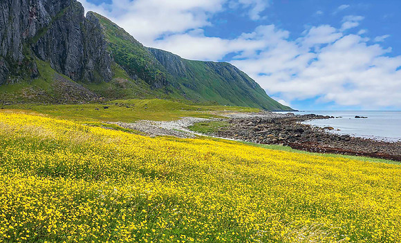 Eggum, Lofoten 04239