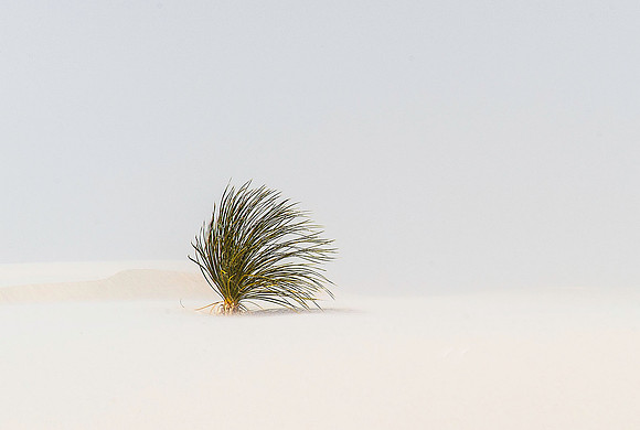 Sand Storm at White Sands National Monument, New Mexico 4299