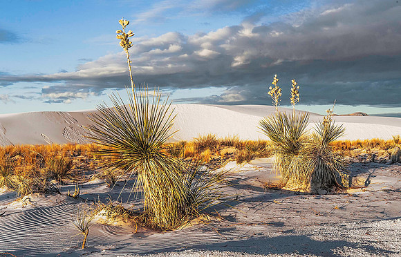 White Sands National Monument, New Mexico 4330