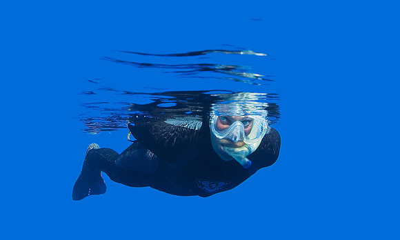 Calm Water Sknorkeling at Roca Partida 3697