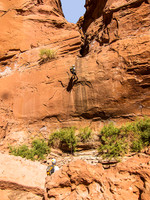 LarryCanyon4167