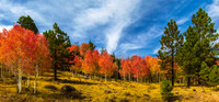 Boulder Mountain 3986-8merge*