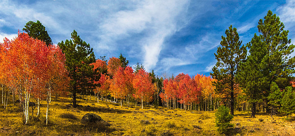 Boulder Mountain 3986-8merge*