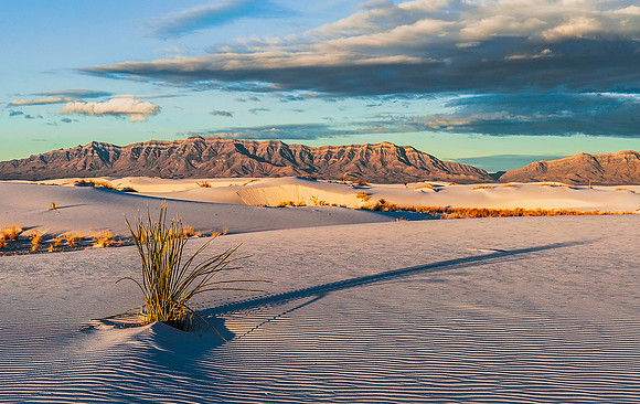 White Sands National Monument, New Mexico 4317