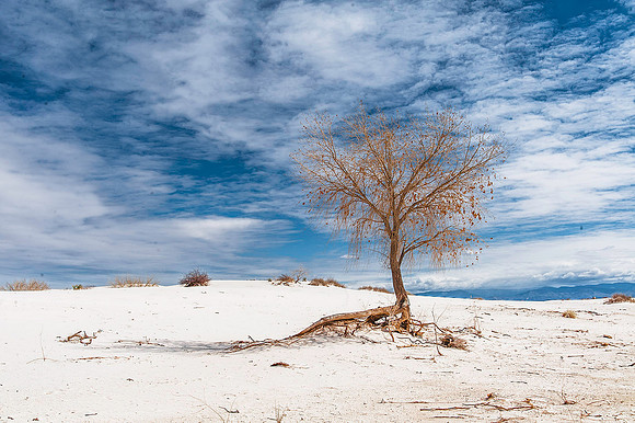 White Sands National Monument, New Mexico 4387