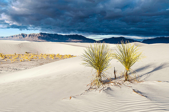 White Sands National Monument, New Mexico 4341