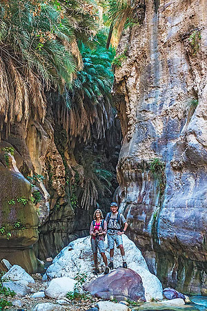 Wadi Bin Hammad 06209
