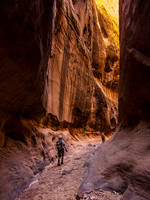Larry Canyon 4144
