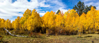 Boulder Mountain 3951