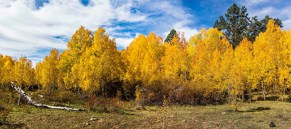 Boulder Mountain 3951