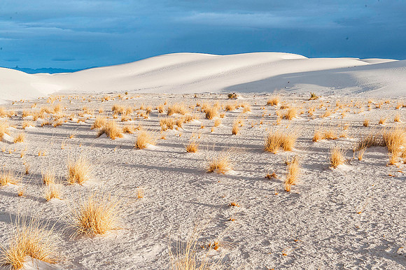 White Sands National Monument, New Mexico 4333