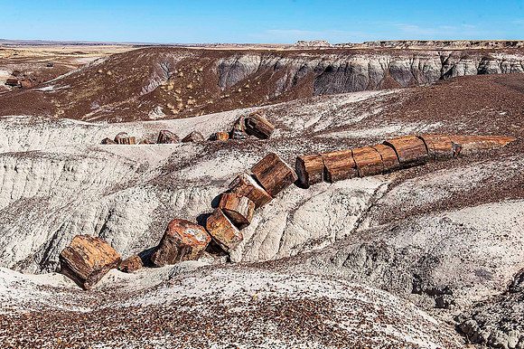 Petrified Forest National Park, Arizona 4146