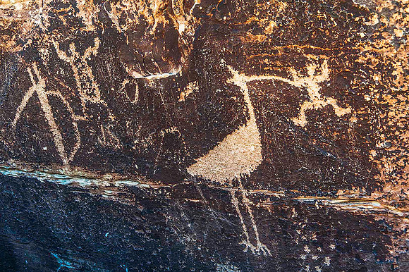 Petrified Forest National Park, Arizona 4128