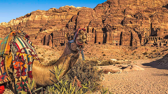Petra 06334