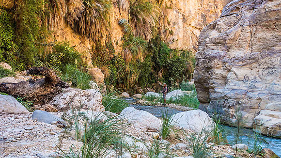 Wadi Bin Hammad 06204