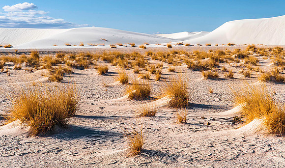 White Sands National Monument, New Mexico 4263