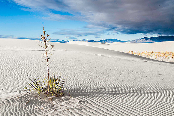 White Sands National Monument, New Mexico 4348