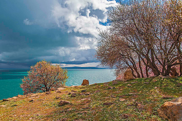 Akdamar Island, Lake Van 5321