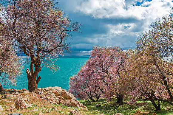 Akdamar Island, Lake Van 5319