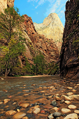 Virgin River, Zion National Park 7836
